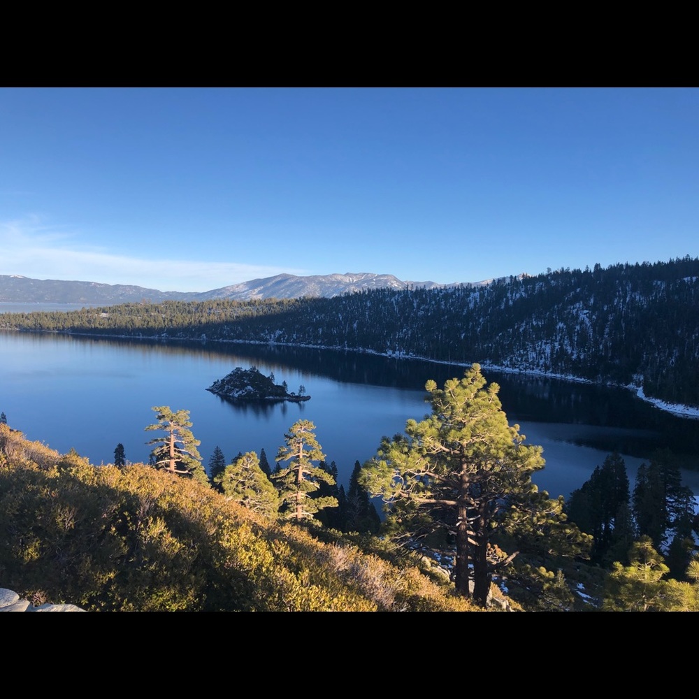 Meet your Posher, Nina